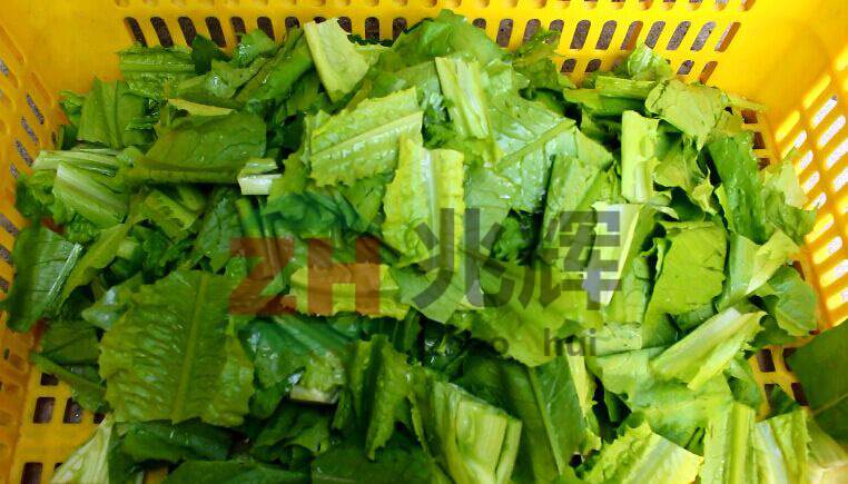 QQ图片20150325134038 拷贝