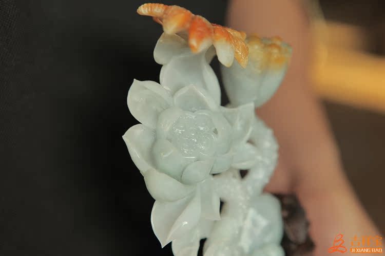 連生貴子 (27)