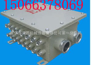 安源防爆接线箱