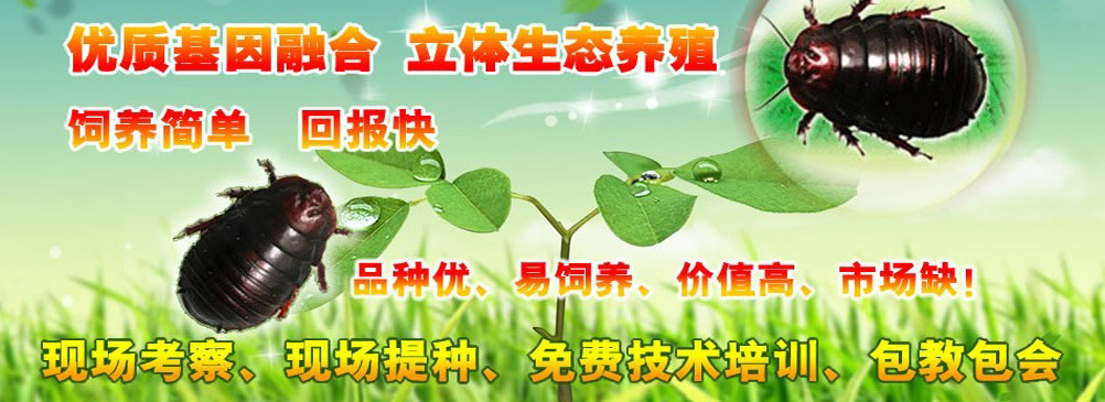 缅甸和记娱乐网址养殖2015 undefined