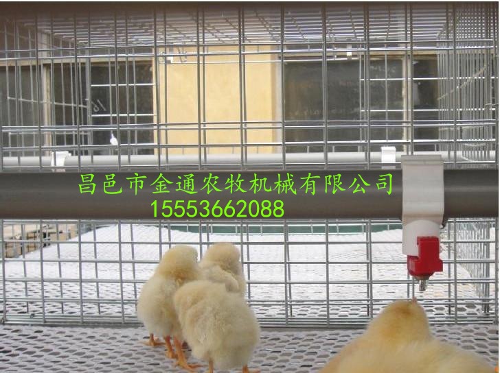 6469557_看图王