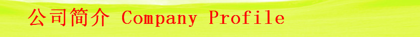 公司简介6