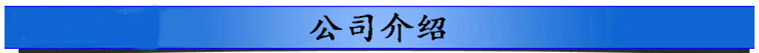 公司介绍_副本