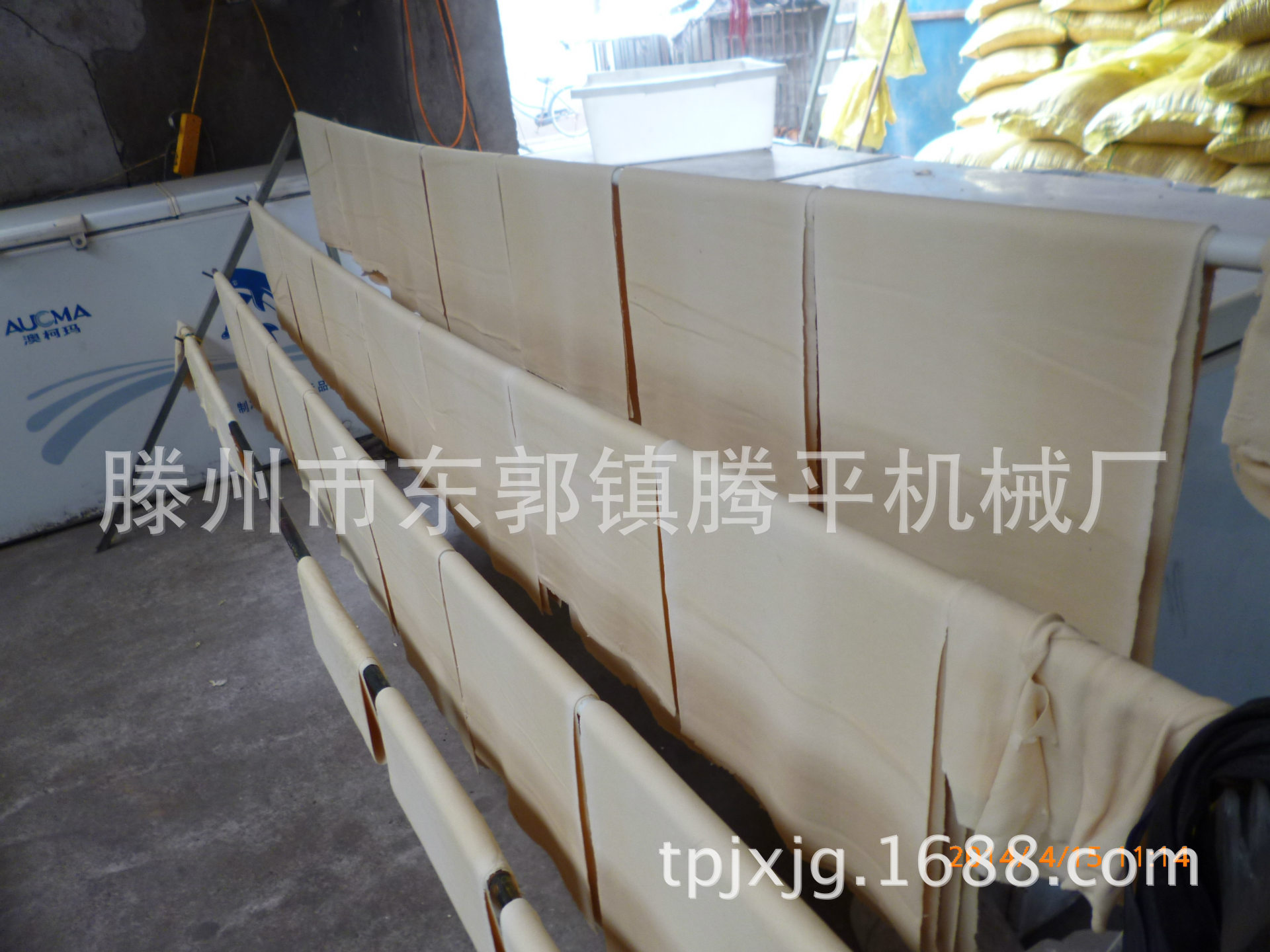 照片 108