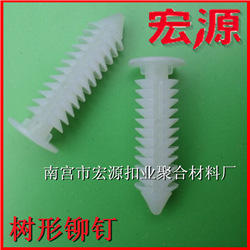 小帽中华丰皮白