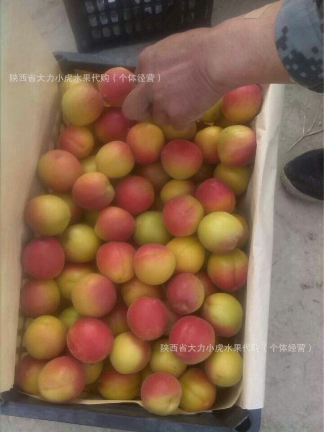 QQ图片20150120095002