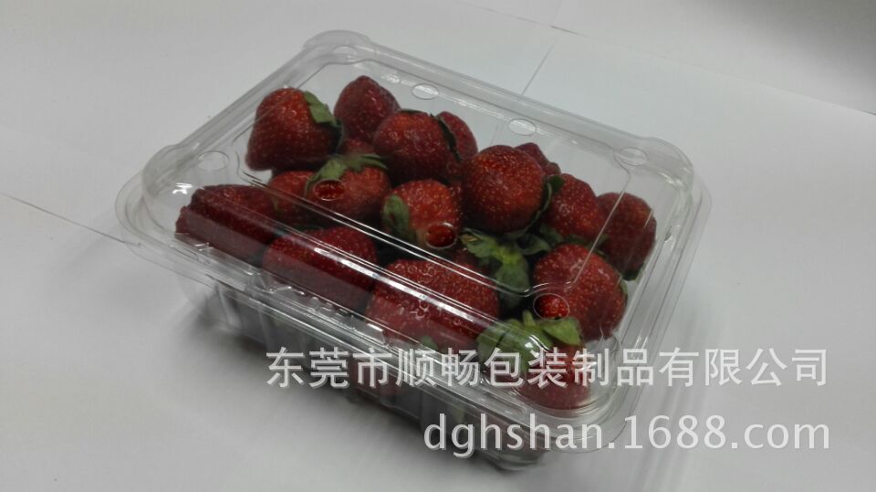 SC-D004吸塑草莓盒4