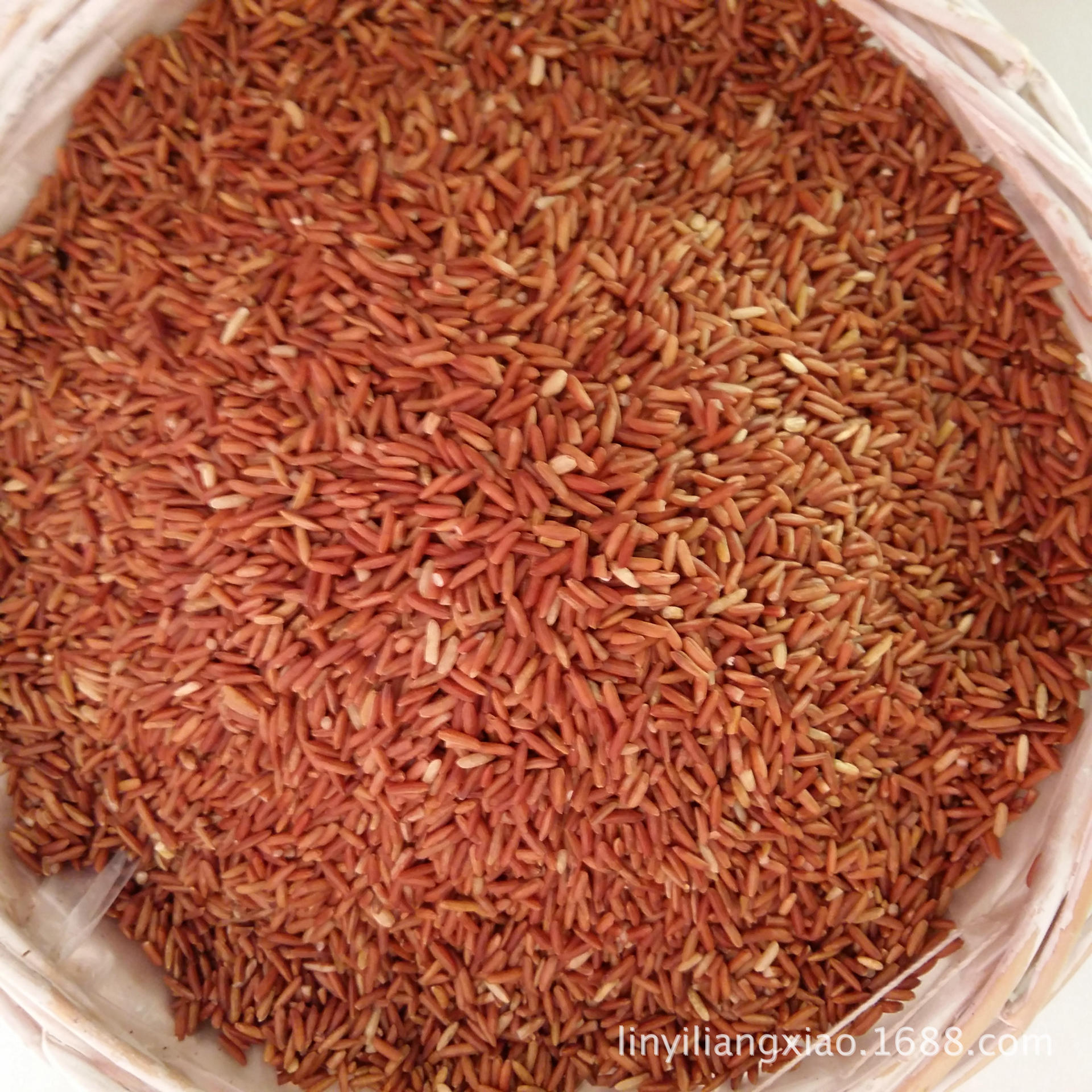 批发供应低温烘培五谷杂粮现磨豆浆原料有机红粳米 红糙米