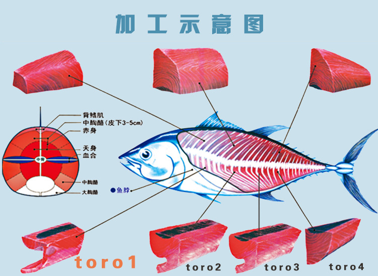 2015进口 大连海产 冷冻海鲜 超低温蓝鳍金枪鱼 腹 寿司 野生鱼类