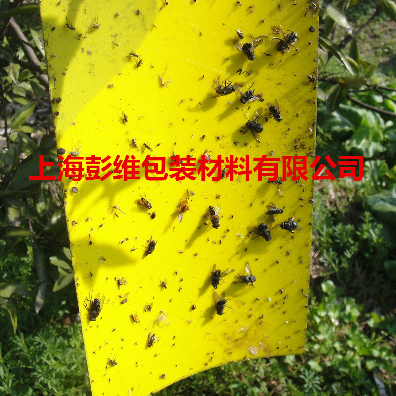 1460671569_2022393268_副本