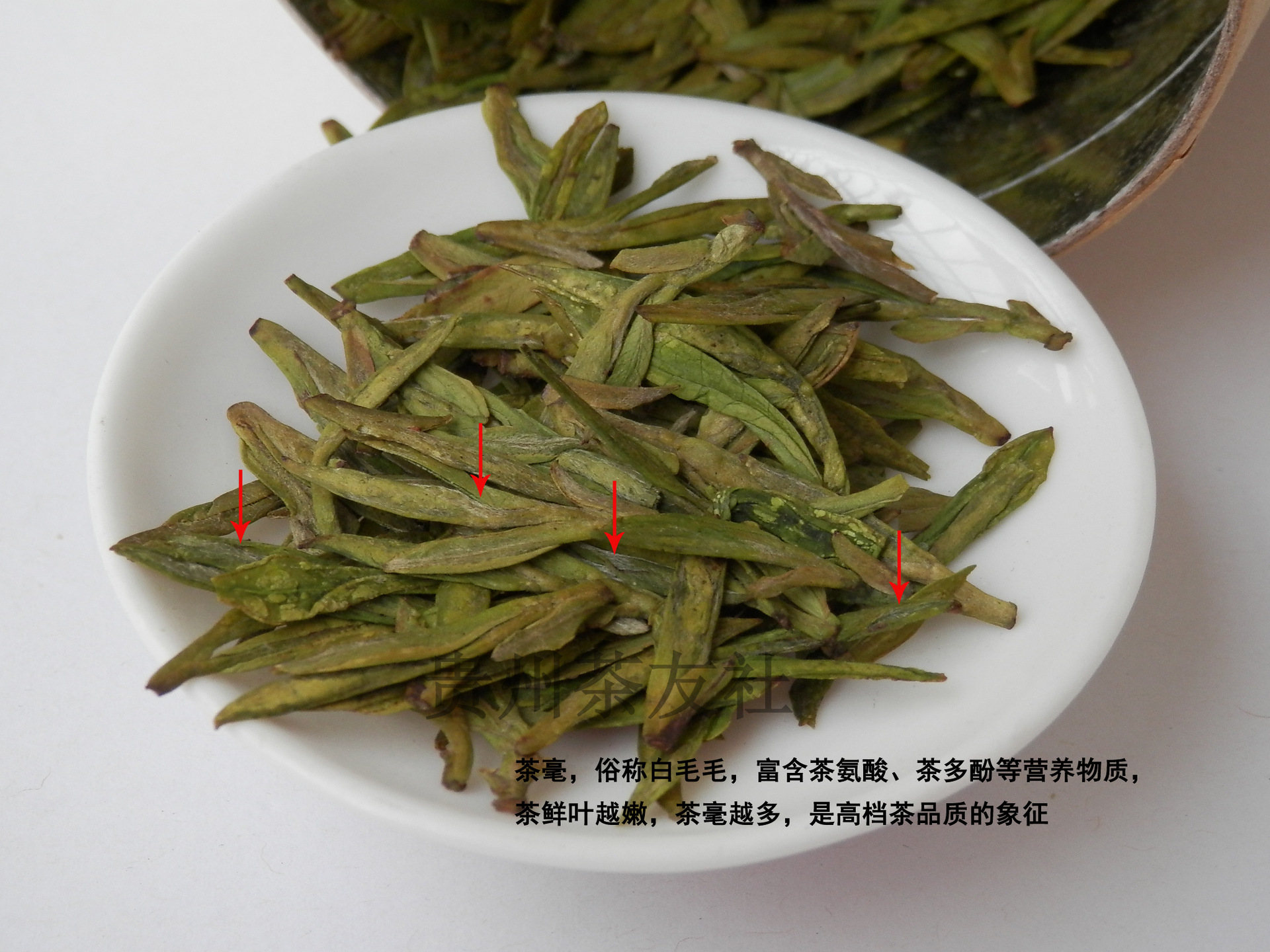 绿茶有哪些品种 - 花花茶馆