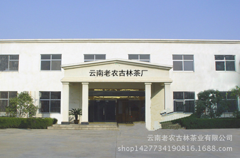 云南老农古林茶厂 经销批发纯料古树普洱茶,野生红茶,老班章古树茶