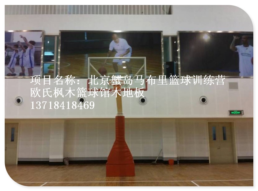 蟹岛马布里篮球训练营1_副本