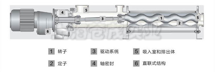 立式不锈钢螺杆泵 螺杆泵卫生级 不锈钢卫生级螺杆泵
