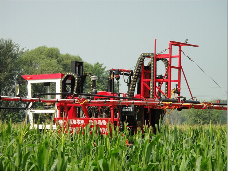 QQ图片20141230104901