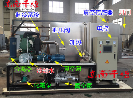 黄桃脆片冻干机-黄桃冷冻干燥机-苹果脆片真空冷冻干燥设备