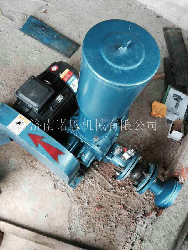 三叶罗茨增氧机 (2)