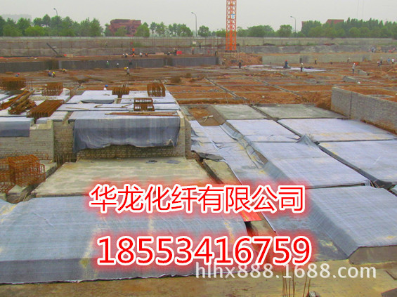 458248e825a426fe9ddbd10c08c_p1