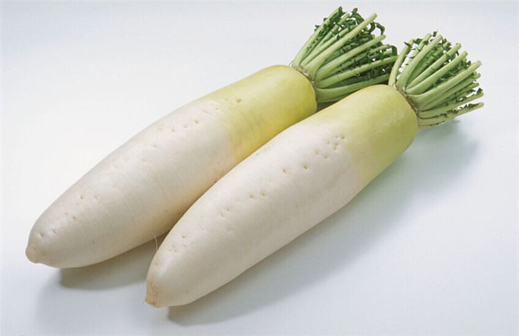 厂家批量出售新季节新鲜白萝卜 绿色天然白萝卜 量大从优