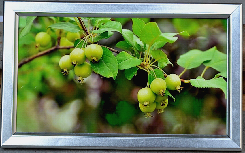 169N_UAC(1K6AA]ODJT1J)J