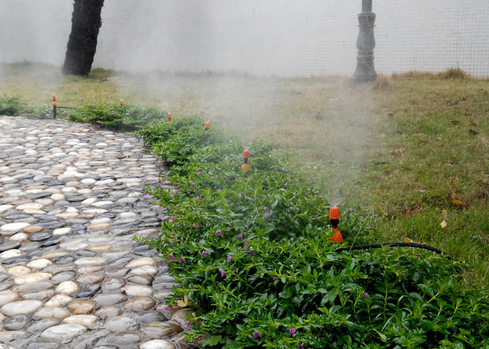 TB25G8HcpXXXXaRXXXXXXXXXXXX-21