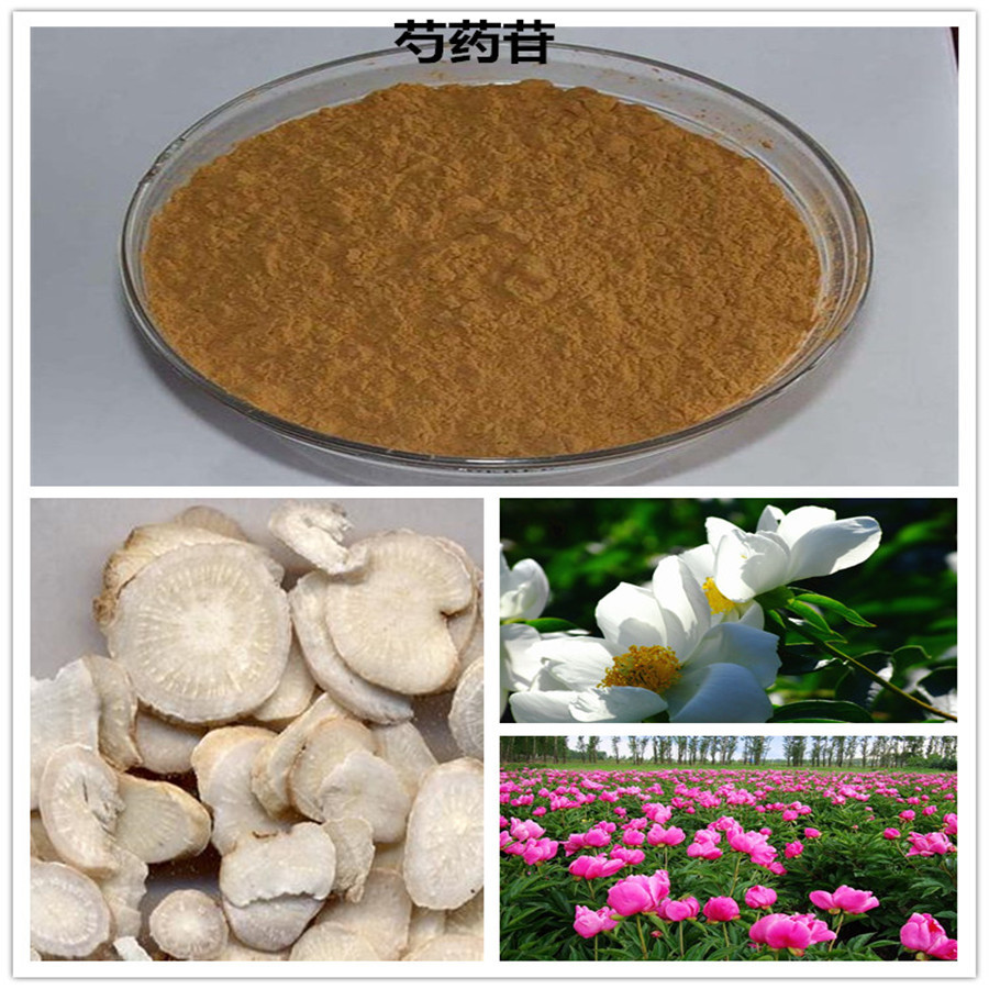 芍药甙_芍药苷 芍药根芍药提取物 厂家现货批发