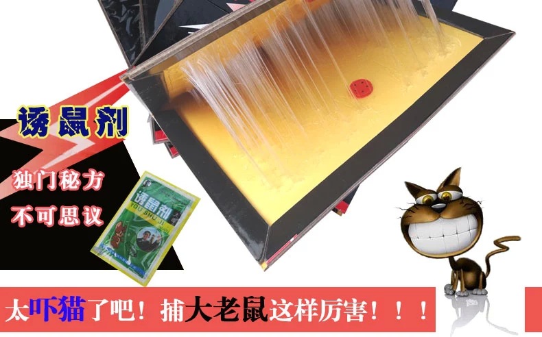 TB2BG0eaFXXXXaZXpXXXXXXXXXX-11