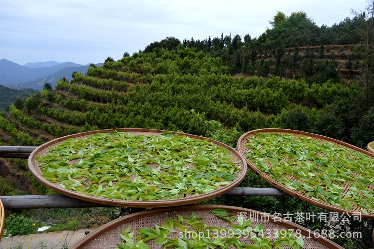 【整件促销 凤凰单丛茶 单枞茶 凤凰单枞茶叶 乌龙茶 12斤装-青茶