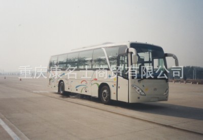 黄海卧铺客车DD6118W01的图片1