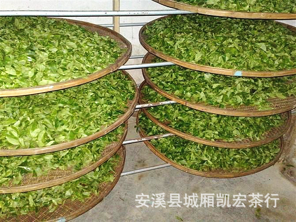 食品,饮料 茶叶 乌龙茶/青茶 批发大红袍散装 浓香肉桂武夷山.