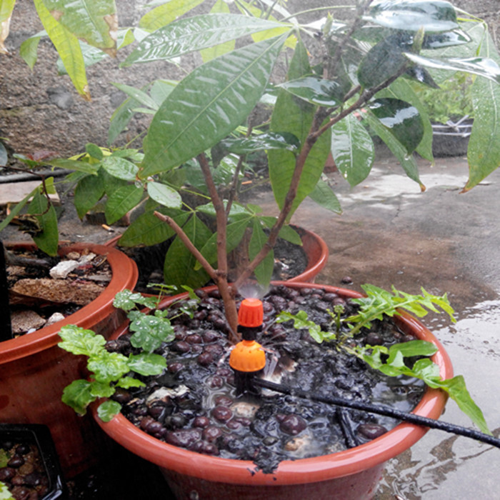 TB2M6VIcpXXXXXKXXXXXXXXXXXX-21