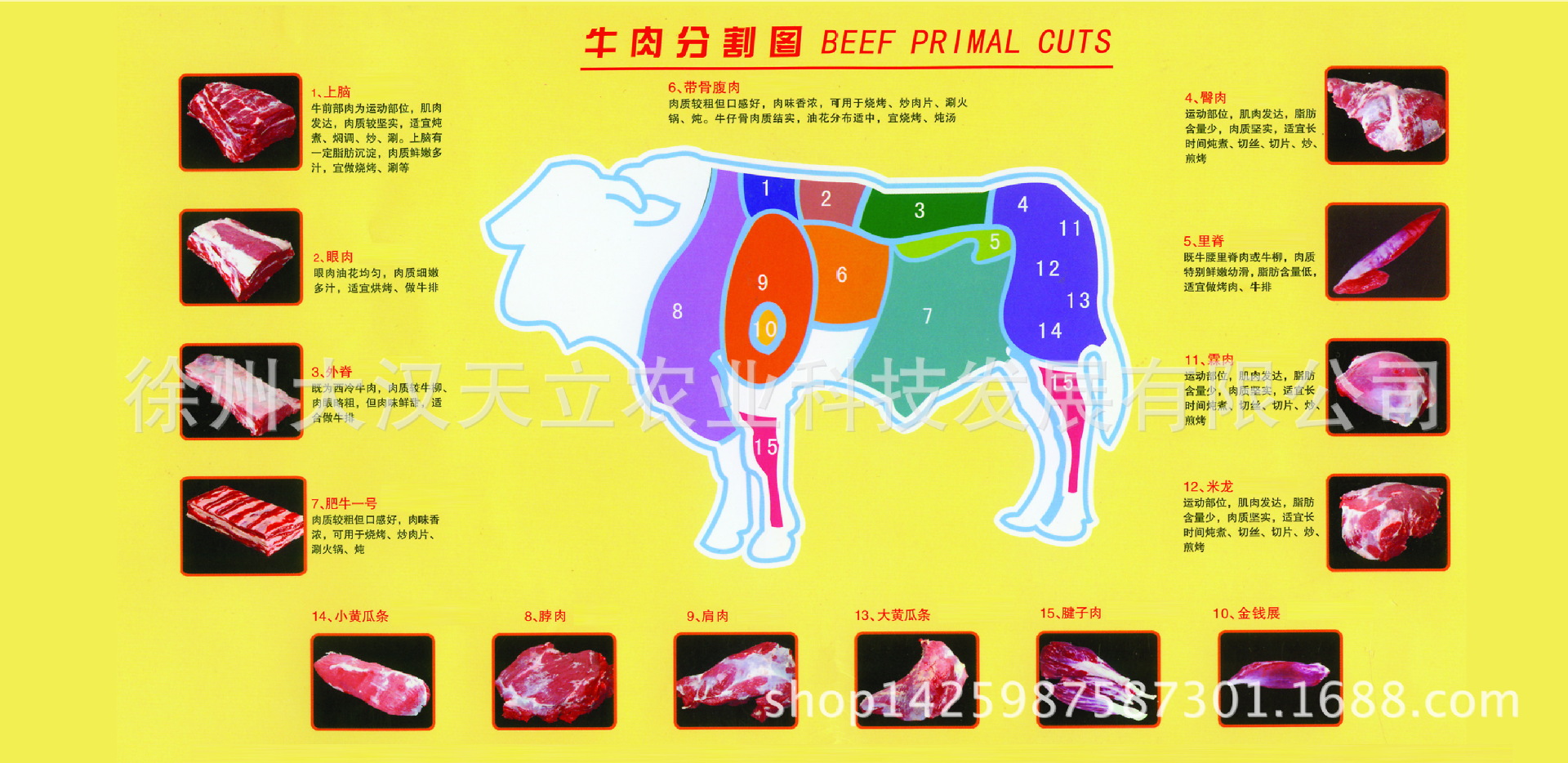 供应栖山有机 冷鲜牛肉 清真牛肉 四分体牛肉 八大块牛肉