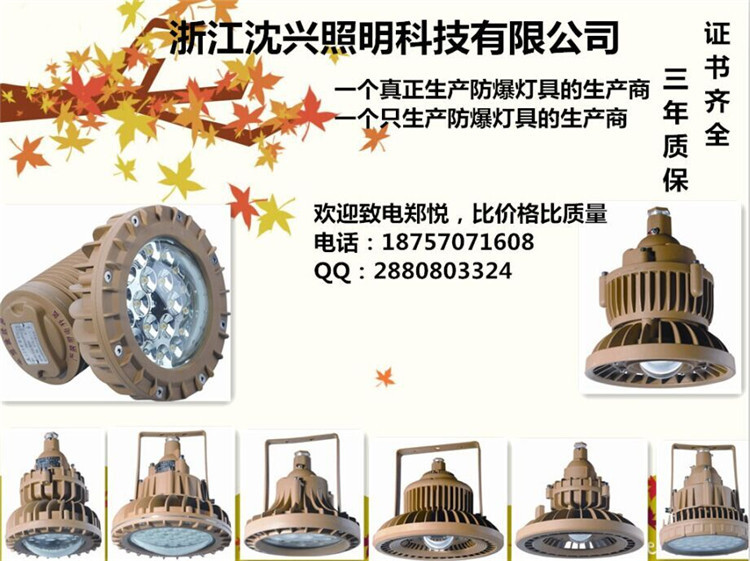 防爆照明灯_副本