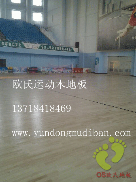 欧氏篮球馆木地板 (1)