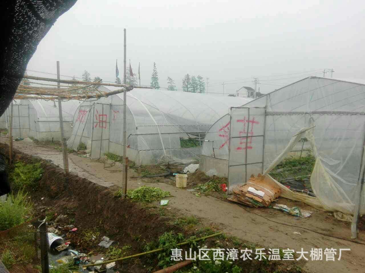 现货供应 草莓温室大棚 草莓大棚 厂家专业生产 可定制 特价