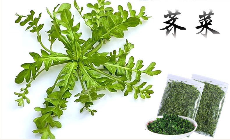 速冻荠菜馅 厂家直销 500g/包装野荠菜馅 无病虫无公害果蔬 批发