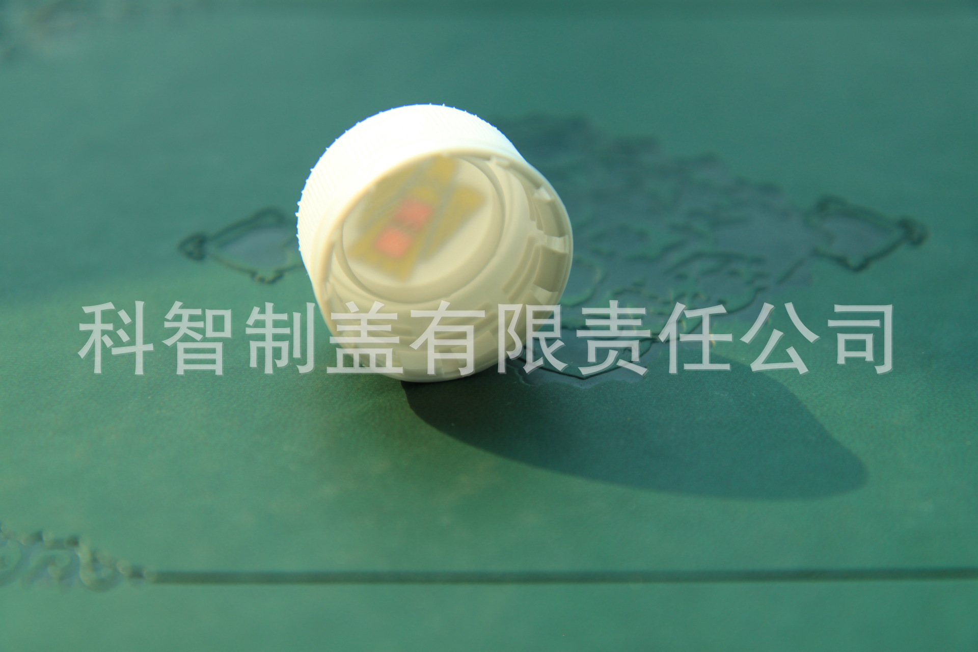 15年最新款东鹏特饮盖子 塑料中奖盖 再来一瓶支 谢谢惠顾 谢霆锋