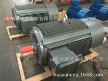 華雅能YE2-315L2-4-185KW電機替代WEG電機功率185千瓦轉速4極F級