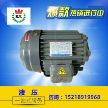 台灣群策S.Y 1HP 4P 液壓電機0.75KW 油泵專用卧式電機 C01-43B0