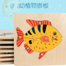 木制兒童早教大木釘益智幼兒園蒙氏教具拼圖椴木動植物嵌板玩具