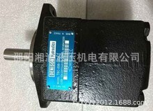 T6C-014-1R01-B1丹尼遜葉片泵T7D-B42-1R00-A1M0