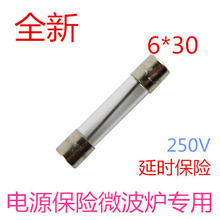 適用格蘭仕微波爐電源保險絲250VT8A延時保險 原廠 電源保險管10A