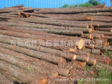河道清理 直銷加工生產各種長度規格大小新鮮松木樁 量大為優