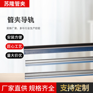 供應碳鋼不銹鋼輕型/重型導軌 管夾安裝軌道 STSV管夾安裝滑槽