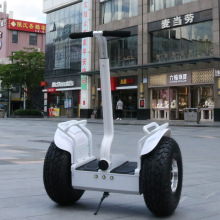新品體感雙輪自平衡車成人代步思維電動沙灘兩輪漂移滑板越野36v