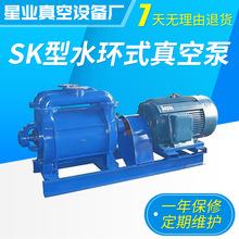 上海真空設備SK型水環式真空泵鑄鐵不銹鋼高真空度真空泵電動真空