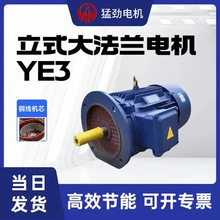 立式電機380v三相2/4/6極靜音變頻國標全銅線5.5kw三相異步電動機