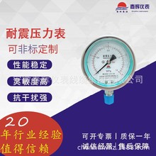 YTPN-100  YTPN-100B   耐震壓力表 隔膜 真空  規格型號齊全