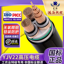 批國標YJV22 1芯3芯銅芯高壓電纜8.7/15kv架空地埋室外高壓電纜線
