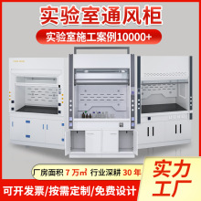 全鋼通風櫃PP通風櫥排風櫃實驗室操作台桌上型無管道凈氣型通風櫃